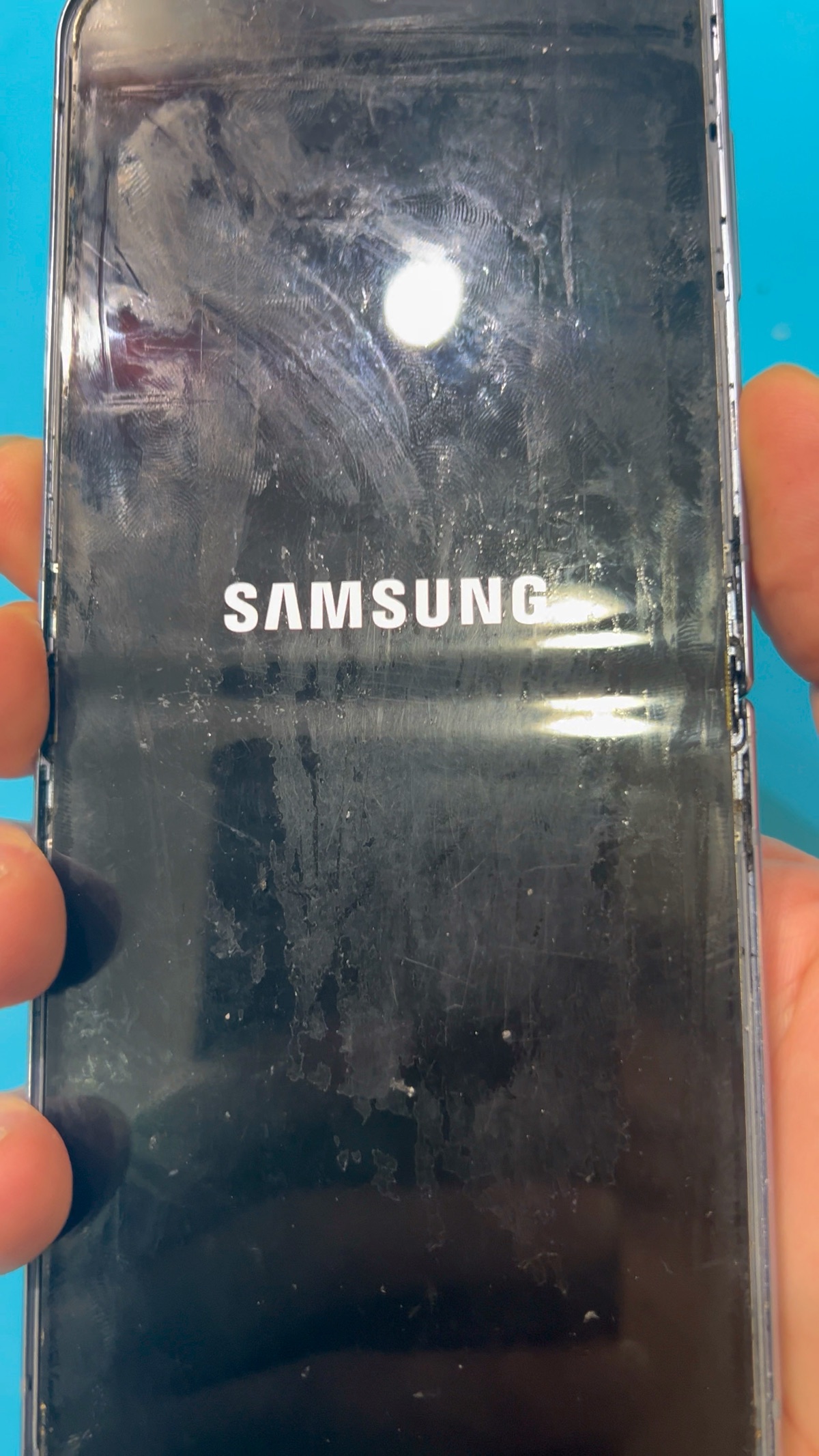 Galaxy Z Flip4 更換轉軸排線後內屏顯示 Samsung 開機標誌